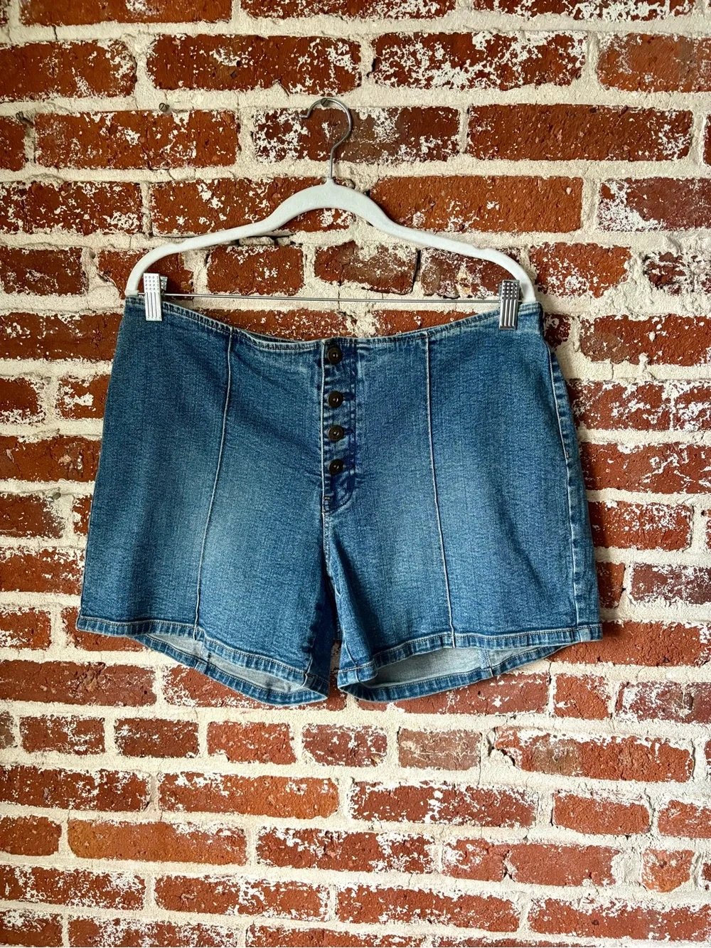 Y2K Venezia Low Rise Denim Shorts w/ button fly